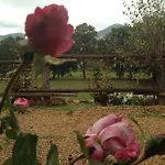 Rurales En Plena Sierra La Calera