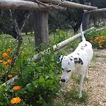 아파트 Rurales En Plena Sierra La Calera