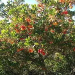 아파트 Rurales En Plena Sierra