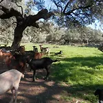 Rurales En Plena Sierra 아파트 *